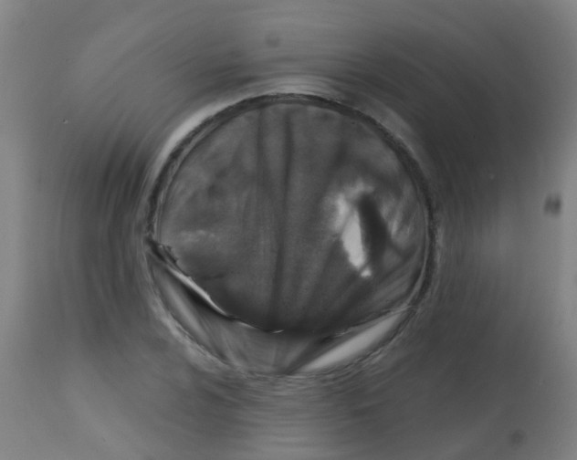 X0000113861024200910221436
