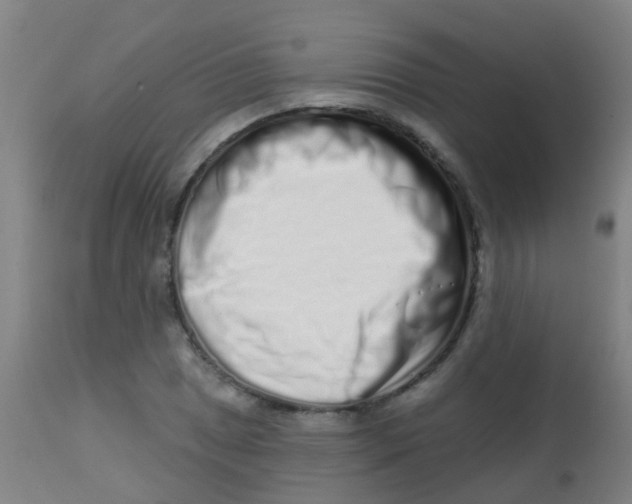 X0000113861025200910221436