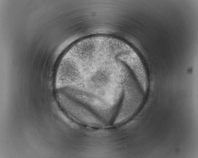 X0000113861026200910221436