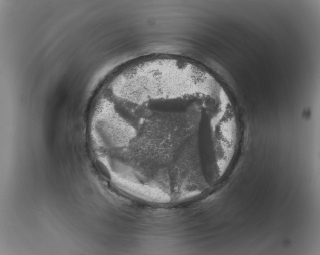 X0000113861027200910221436