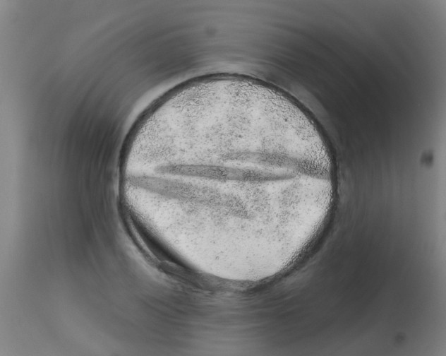 X0000113861028200910221436