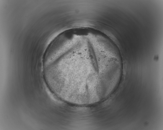 X0000113861031200910221436