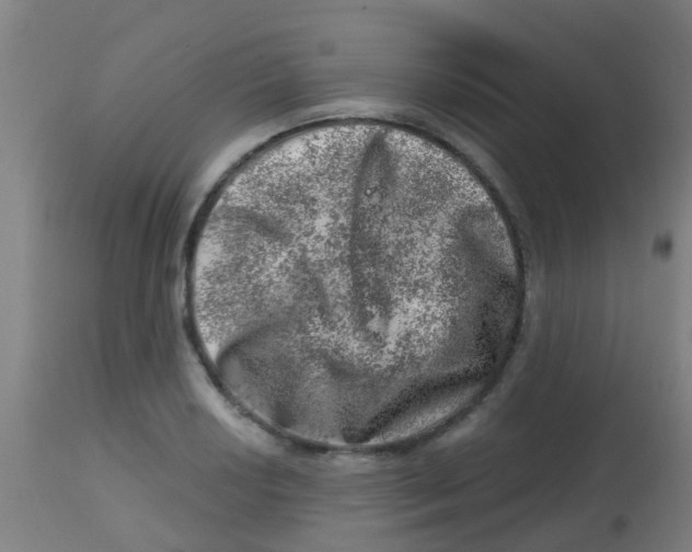 X0000113861034200910221436