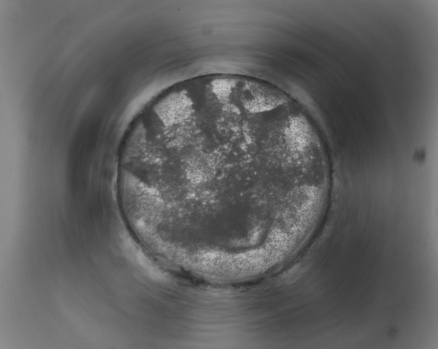 X0000113861035200910221436