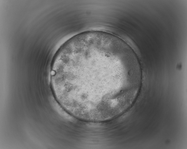 X0000113861036200910221436