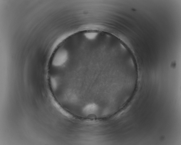 X0000113861037200910221436