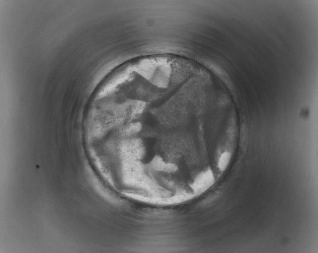 X0000113861039200910221436