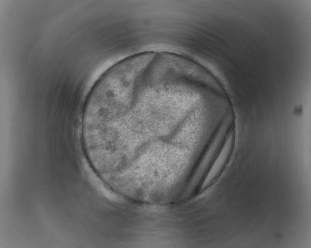 X0000113861040200910221436