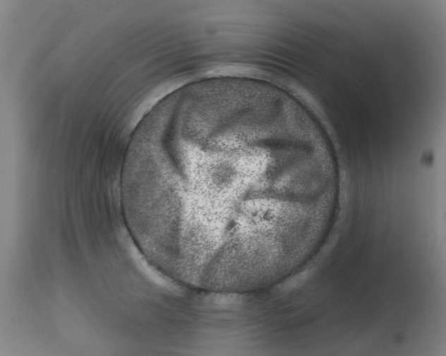 X0000113861041200910221436