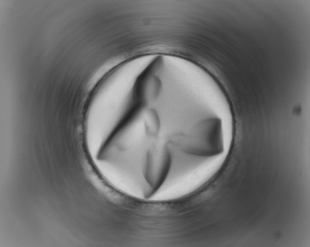 X0000113861042200910221436