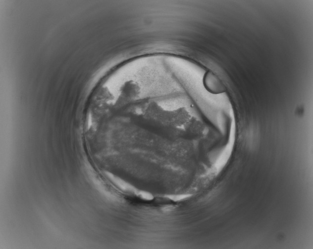 X0000113861043200910221436