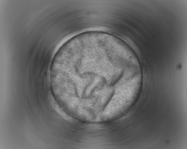 X0000113861044200910221436