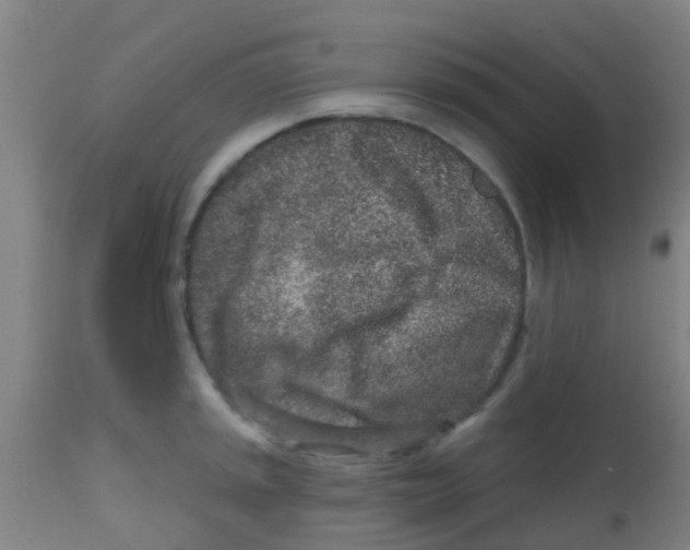 X0000113861045200910221436