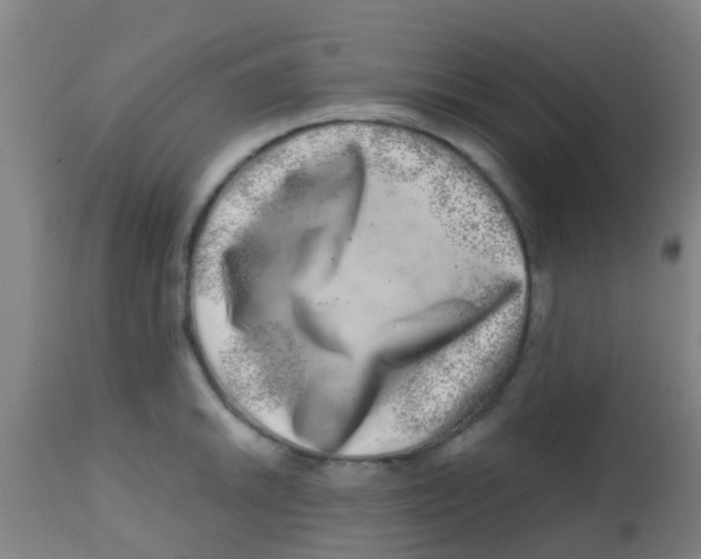 X0000113861046200910221436