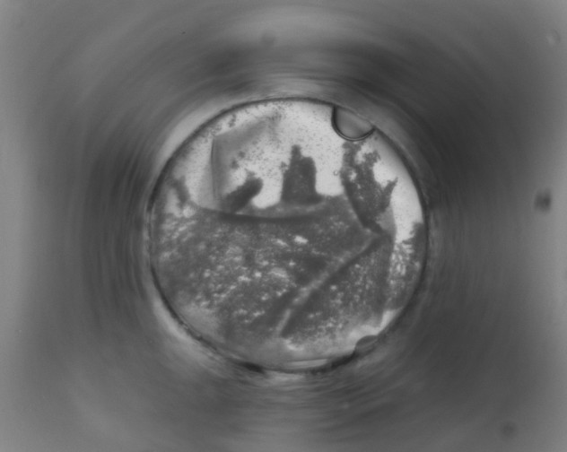 X0000113861047200910221436