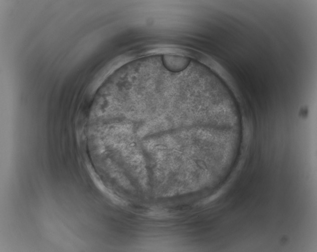 X0000113861049200910221436