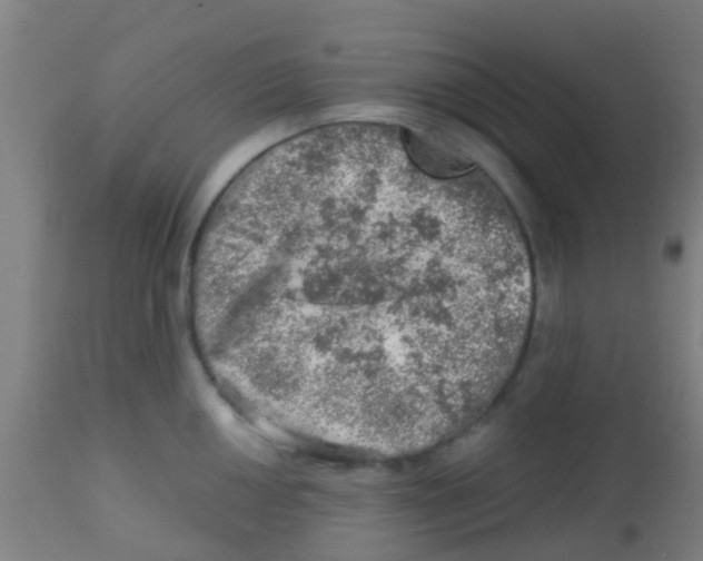 X0000113861050200910221437