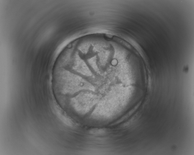 X0000113861051200910221437