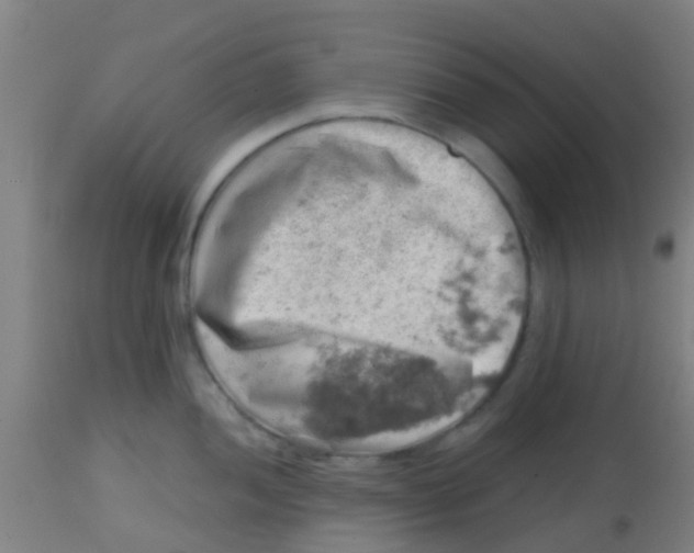 X0000113861052200910221437