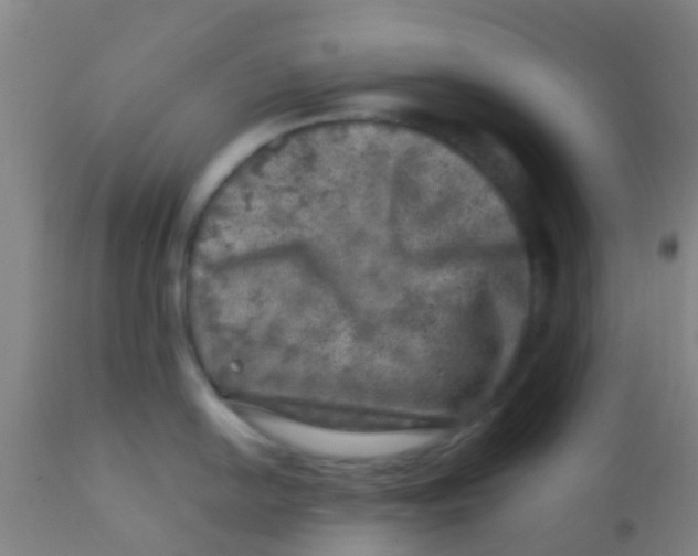 X0000113861054200910221437