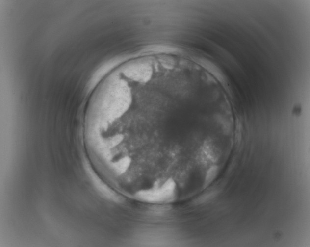 X0000113861055200910221437