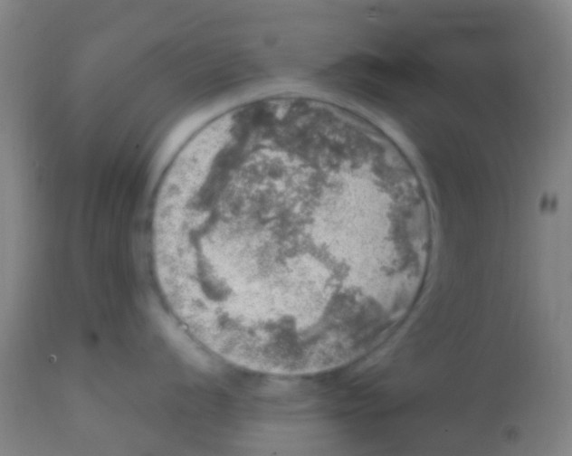 X0000113861056200910221437