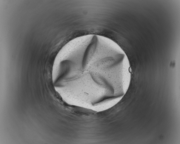 X0000113861058200910221436