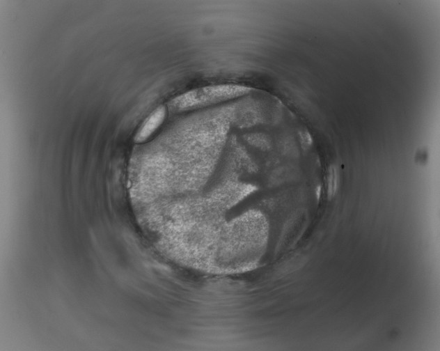 X0000113861059200910221436