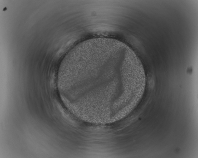 X0000113861060200910221436