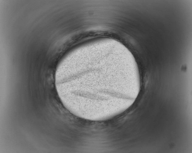 X0000113861062200910221436