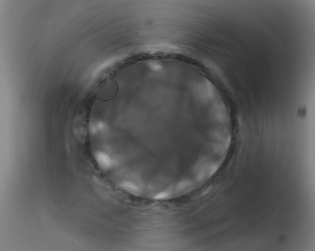X0000113861063200910221436