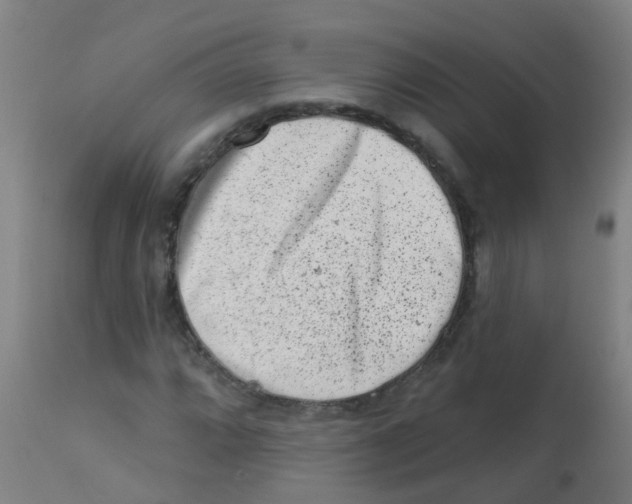 X0000113861064200910221436