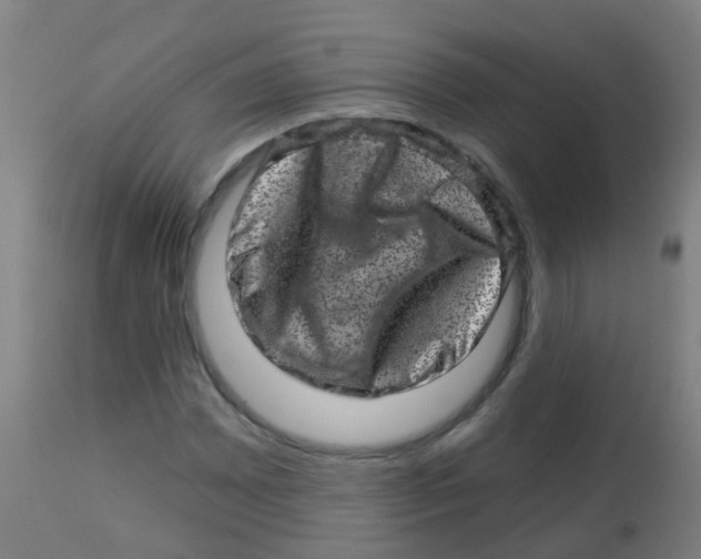 X0000113861065200910221436