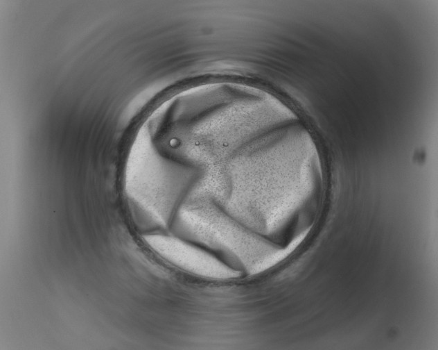 X0000113861066200910221436