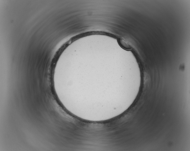 X0000113861068200910221436