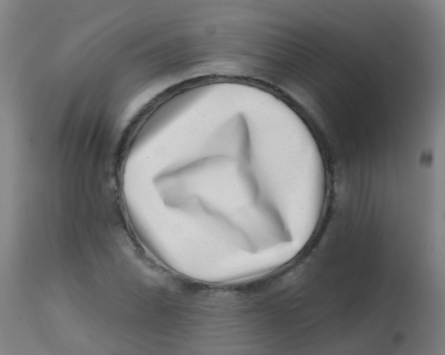 X0000113861070200910221436