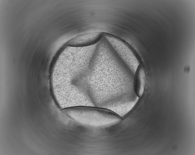 X0000113861072200910221436