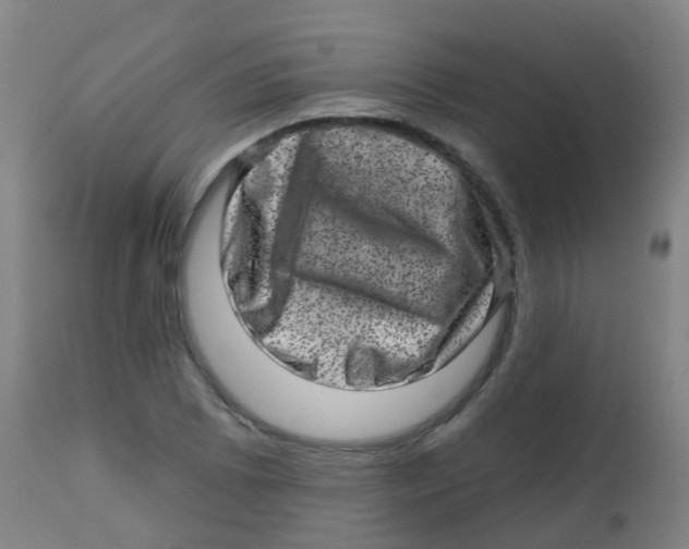 X0000113861073200910221436