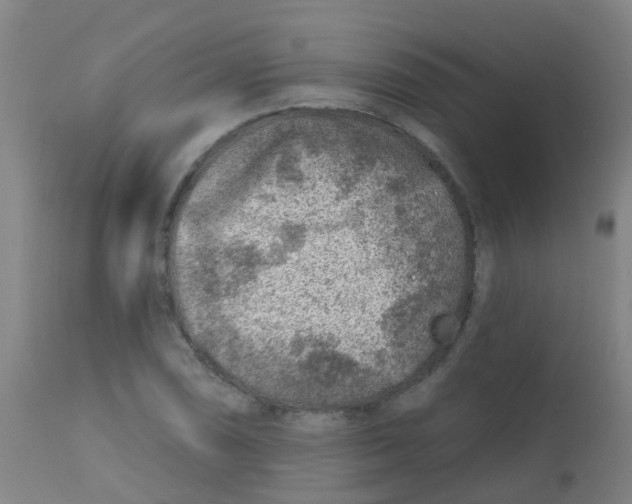 X0000113861074200910221436