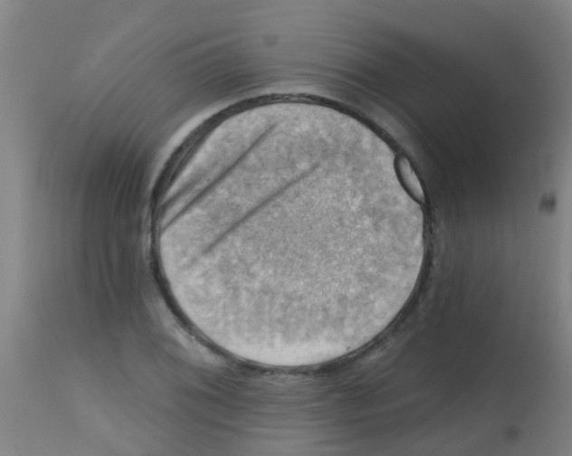 X0000113861076200910221436