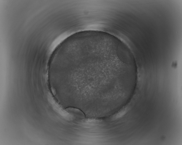 X0000113861077200910221436