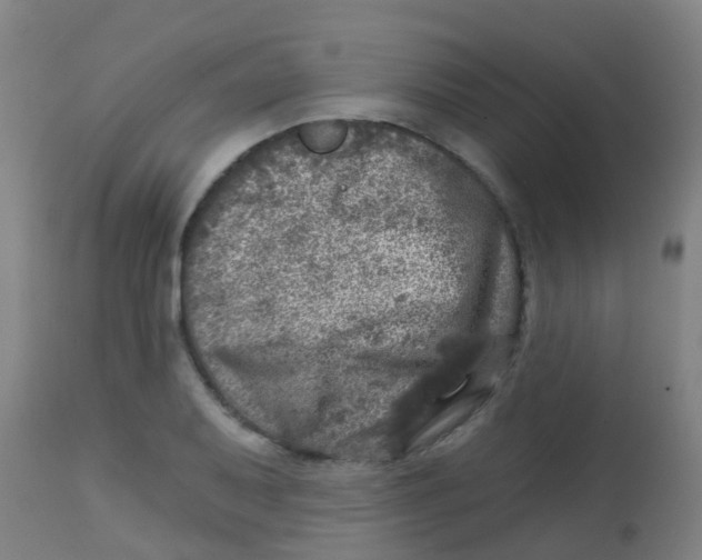 X0000113861079200910221436