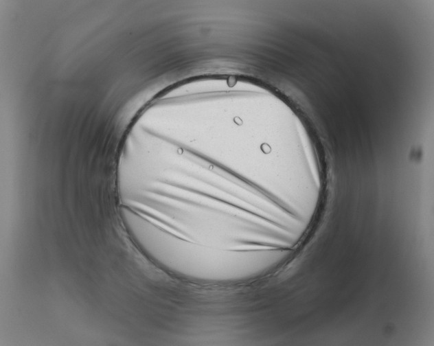X0000113861081200910221436