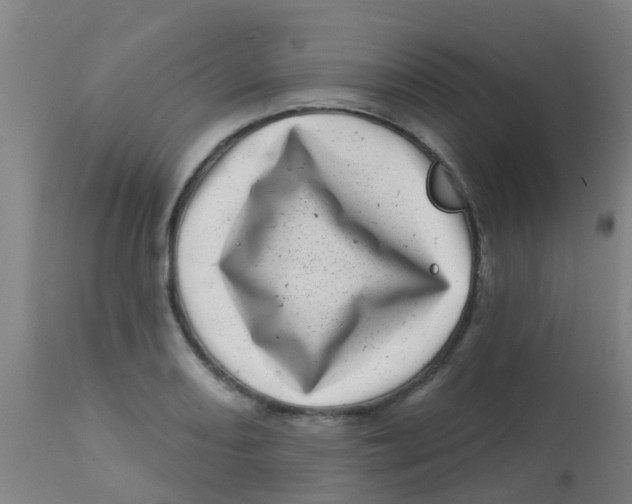 X0000113861082200910221436