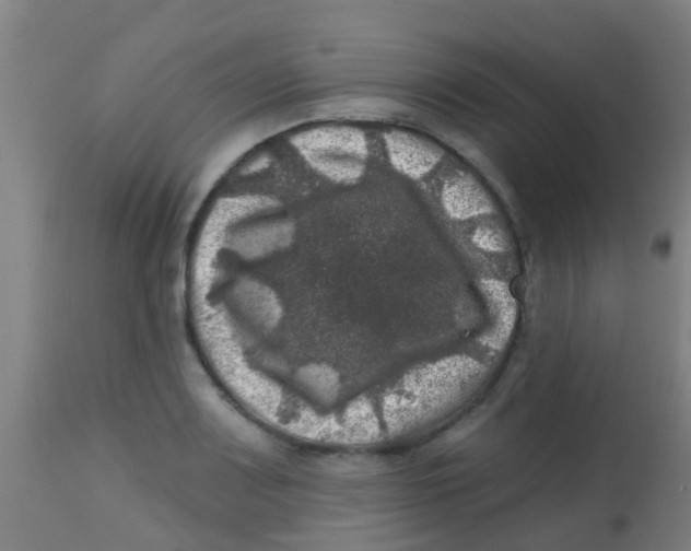 X0000113861083200910221436