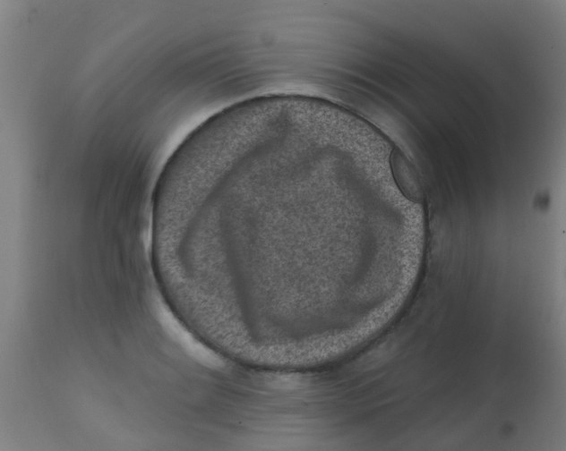 X0000113861084200910221436