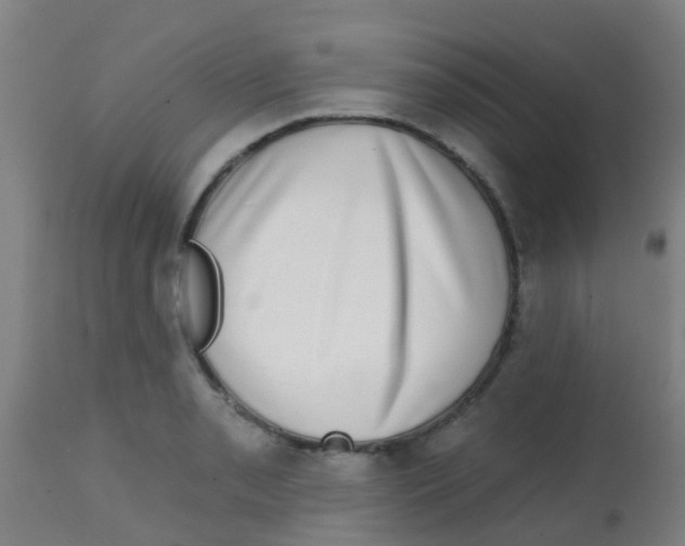 X0000113861085200910221436