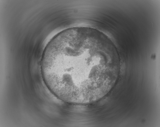 X0000113861086200910221436