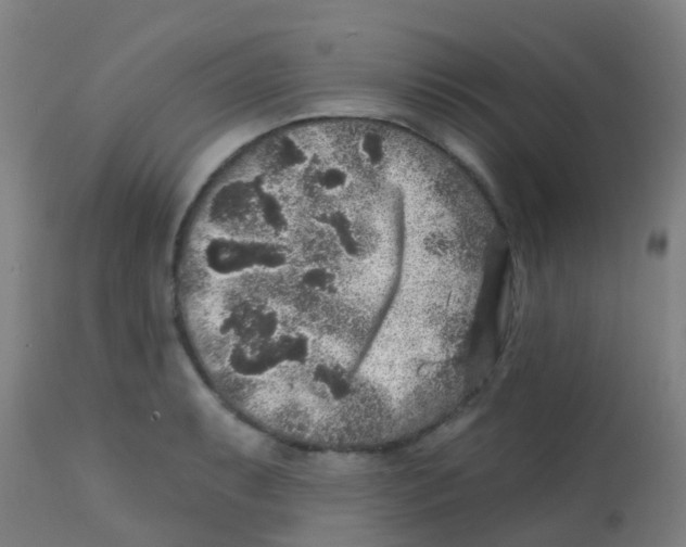 X0000113861087200910221436