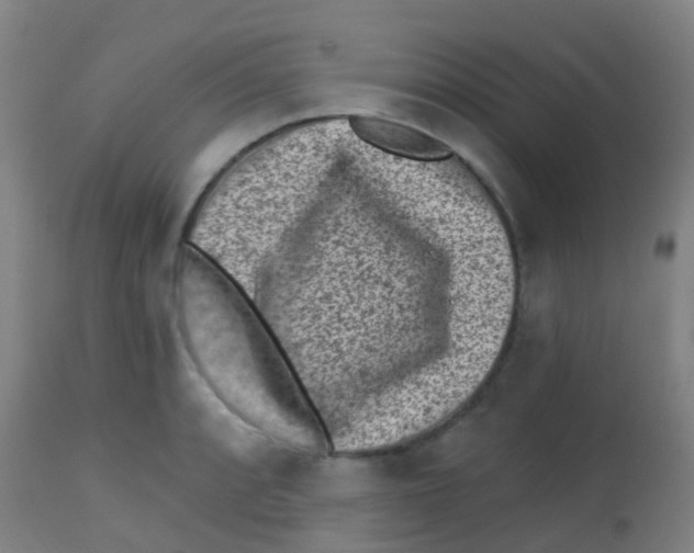 X0000113861088200910221436